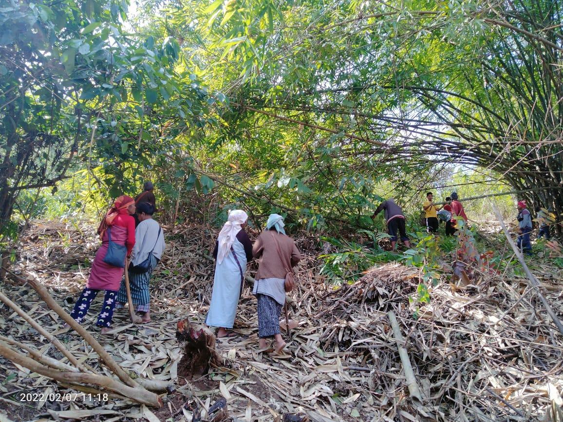 C:\Users\Lavinia Pde\Pictures\Camera Roll\IMG-20220713-WA0005.jpg